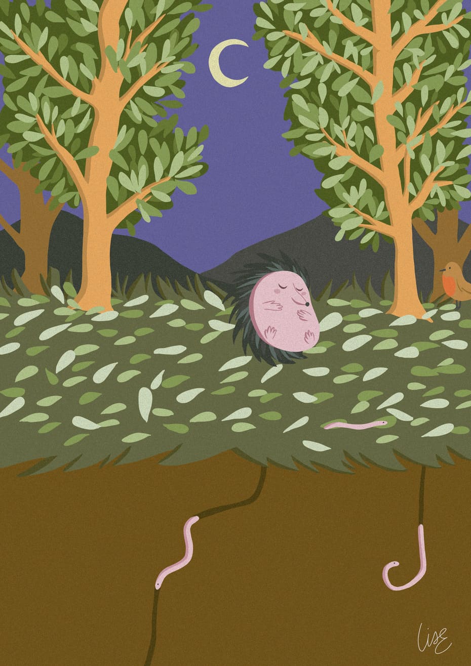 Illustration numérique en aplats colorés, représentant une forêt verdoyante en pleine nuit, avec en son
             centre un petit hérisson recroquevillé, les yeux fermés. Le sol est représenté en coupe, on peut voir deux vers de terre y creuser des tunnels.
