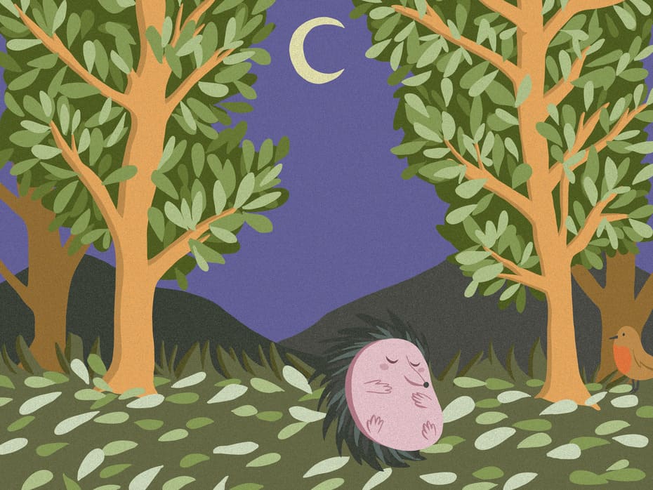 Illustration numérique en aplats colorés, représentant une forêt verdoyante en pleine nuit, avec en son centre un petit hérisson
             recroquevillé, les yeux fermés. Le sol est représenté en coupe, on peut voir deux vers de terre y creuser des tunnels.
